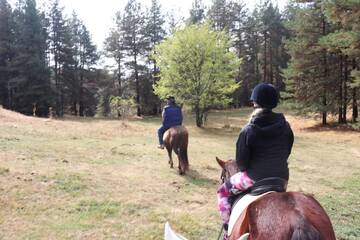 Фотографии Гостевой дом Dona Guest House - Horse Riding г. Копривштица (Болгария) №5 Фото Гостевой дом Dona Guest House - Horse Riding г. Копривштица 5