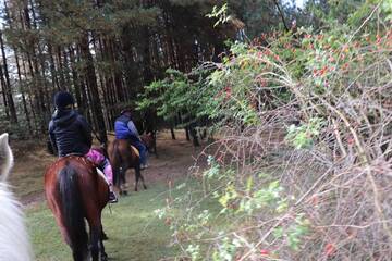Фотографии Гостевой дом Dona Guest House - Horse Riding г. Копривштица (Болгария) №3 Фото Гостевой дом Dona Guest House - Horse Riding г. Копривштица 3