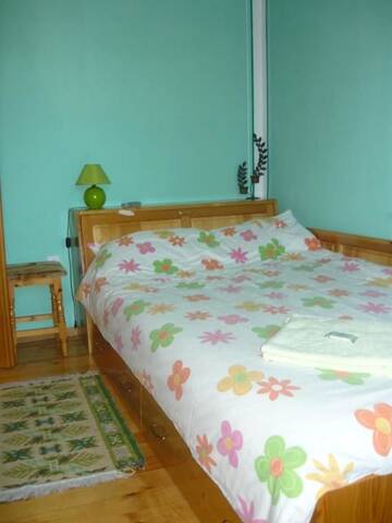 Фото номера Одноместный номер Гостевой дом Guest House Edelweiss г. Копривштица 14