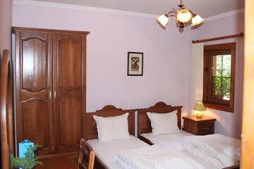 Фото номера Двухместный номер с 2 отдельными кроватями Гостевой дом Guest House Todorini kashti г. Копривштица 6